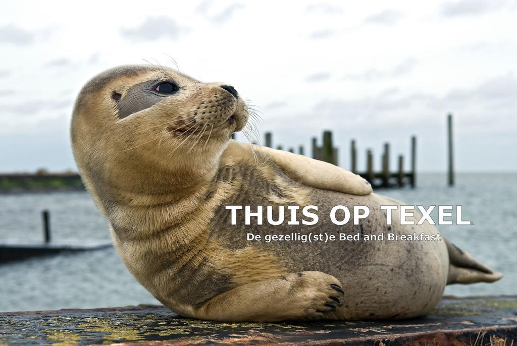 Thuis Op Texel Den Burg Exterior foto